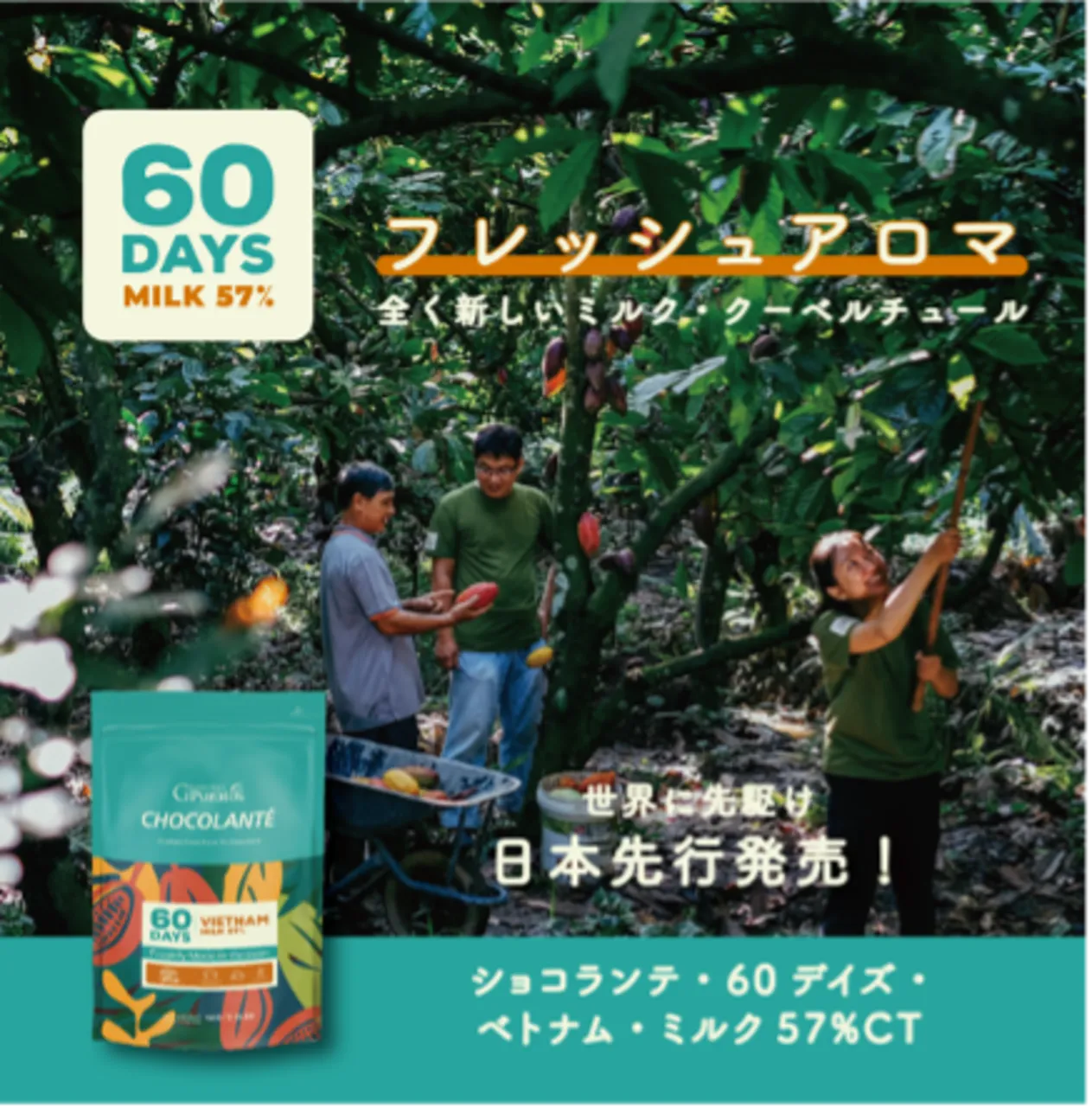 ショコランテ・60デイズ・ベトナム・ミルク57%CT - Puratos