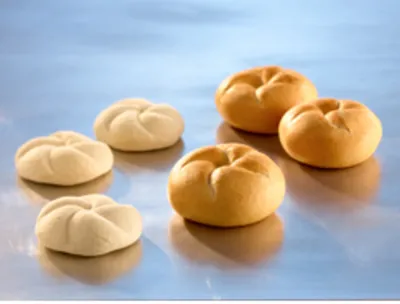 S500キモ・ショート・ジャパン (PJ)