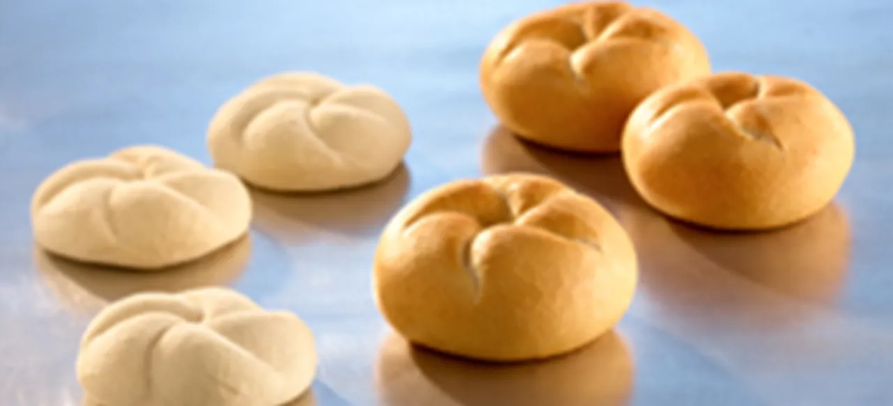 S500キモ・ショート・ジャパン (PJ) - Puratos