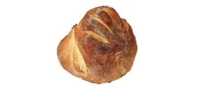 オーテンティック・デュラム